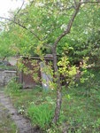 DSCN2929.JPG