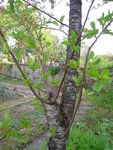 DSCN2928.JPG