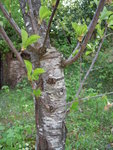 DSCN2927.JPG