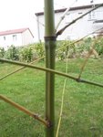 100_3067.JPG