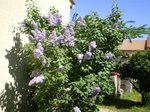 le 10 Avril 2011 (5)-570.jpg