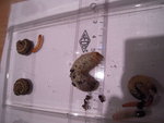 DSCN2938.JPG