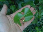 IMG_1560.jpg