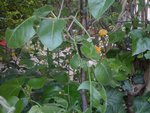 IMG_1561.jpg