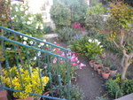 DSCN2065.JPG