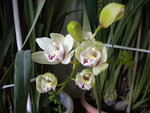 DSCN2070.JPG
