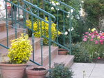 DSCN2075.JPG