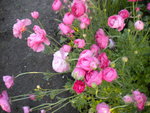 DSCN2058.JPG