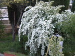 DSCN2071.JPG