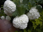DSCN2082.JPG