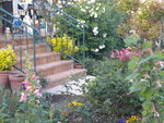 DSCN2074.JPG