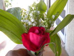 DSCN2079.JPG