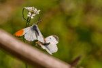 DSC_1178.jpg