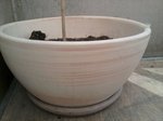 le pot