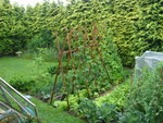DSC01302.JPG