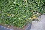 IMG_7988.jpg