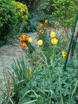 2011-04-17 pignon X.jpg