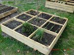 2011-04-17 potager X.jpg