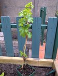 20110414-00028.jpg