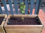 20110417-00029.jpg