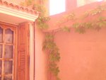 IMG0698A.JPG