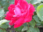 DSCN2067.JPG