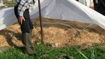 Voile sur patate02.jpg