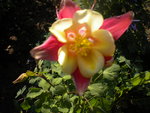 DSCN2096.JPG