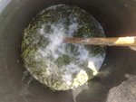 L'purin d'orties qui à l'air de bien fermenter!