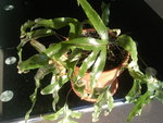 Photo0203.jpg