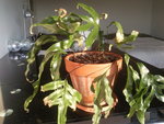 Photo0204.jpg