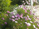 DSCN2036.JPG