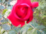 DSCN2121.JPG