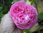 DSCN2123.JPG