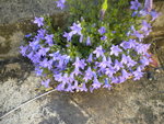 DSCN2127.JPG