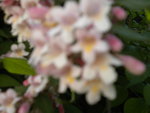 DSCN2129.JPG