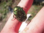 DSCN3027.JPG