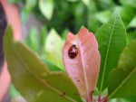 DSC03045.JPG