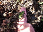 DSCN3028.JPG