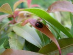 DSC03044.JPG