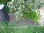 4ème jardinet.JPG