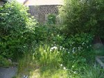 5ème jardinet 1-2.JPG