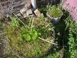 Un gros bac à fleur, je ne sais pas trop quoi en faire ...