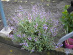 DSCN2134.JPG