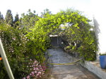 DSCN2097.JPG