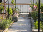 DSCN2137.JPG