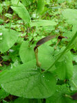 P1050920.jpg