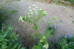 P1010713-1.JPG