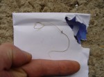 DSC00866v2.JPG