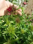 2011-04-24 16.26.26.jpg
